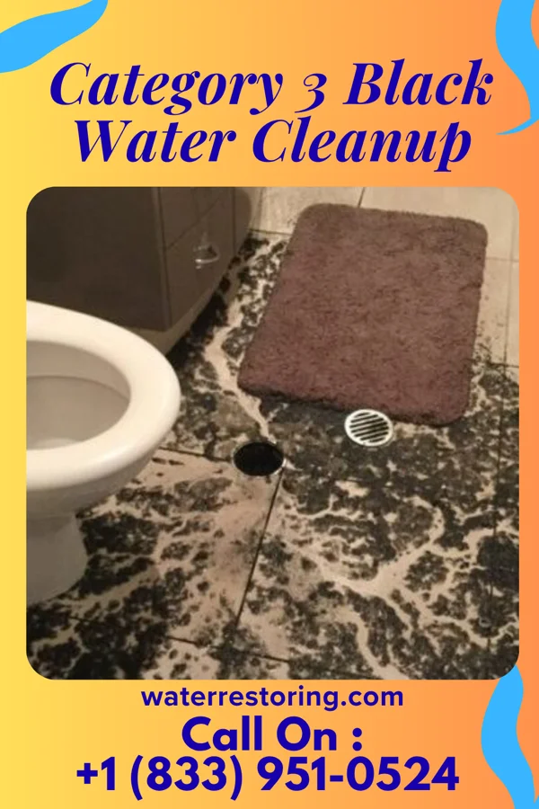 Category 3 Black Water Cleanup in Lacona, NY