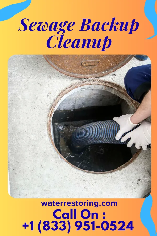 Sewage Backup Cleanup in Lacona, NY