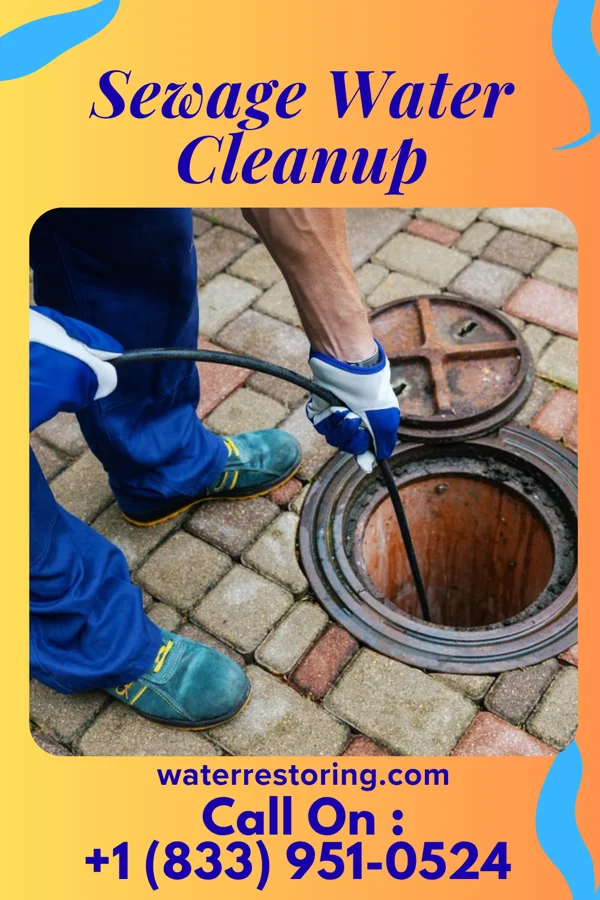 Sewage Water Cleanup in Lacona, NY