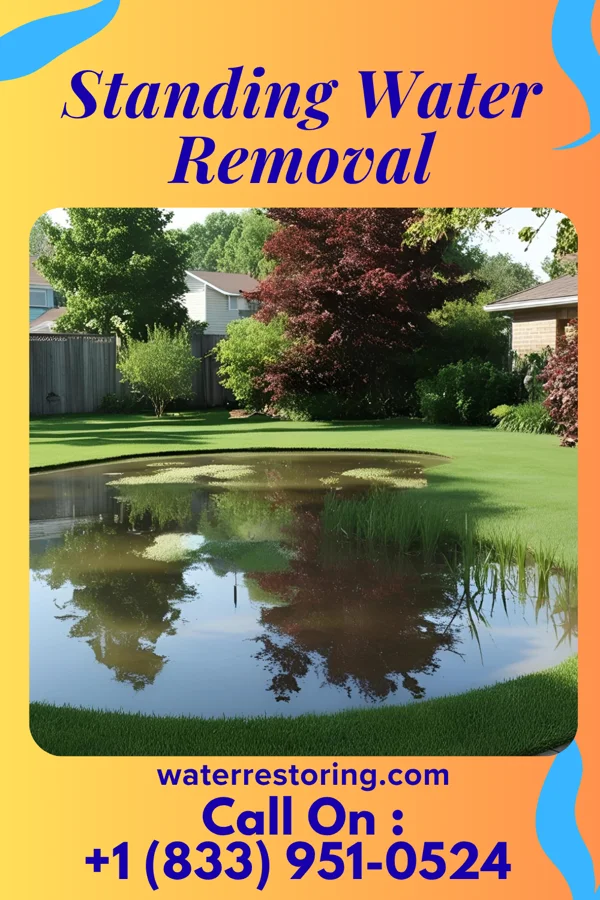 Standing Water Removal in Lacona, NY